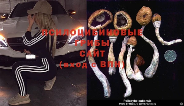 стафф Няндома
