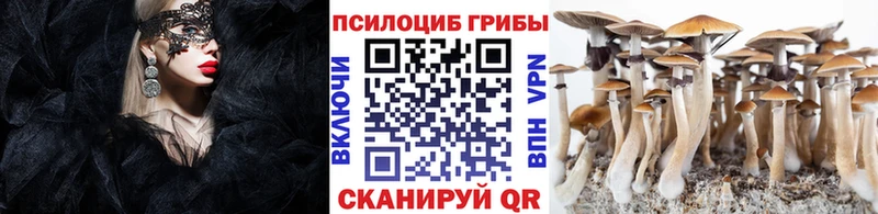 купить  цена  Углегорск  Галлюциногенные грибы прущие грибы 